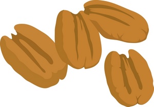 Clip Art Illustration Of A Bunch Of Pecan Nuts Clipart Illustration By